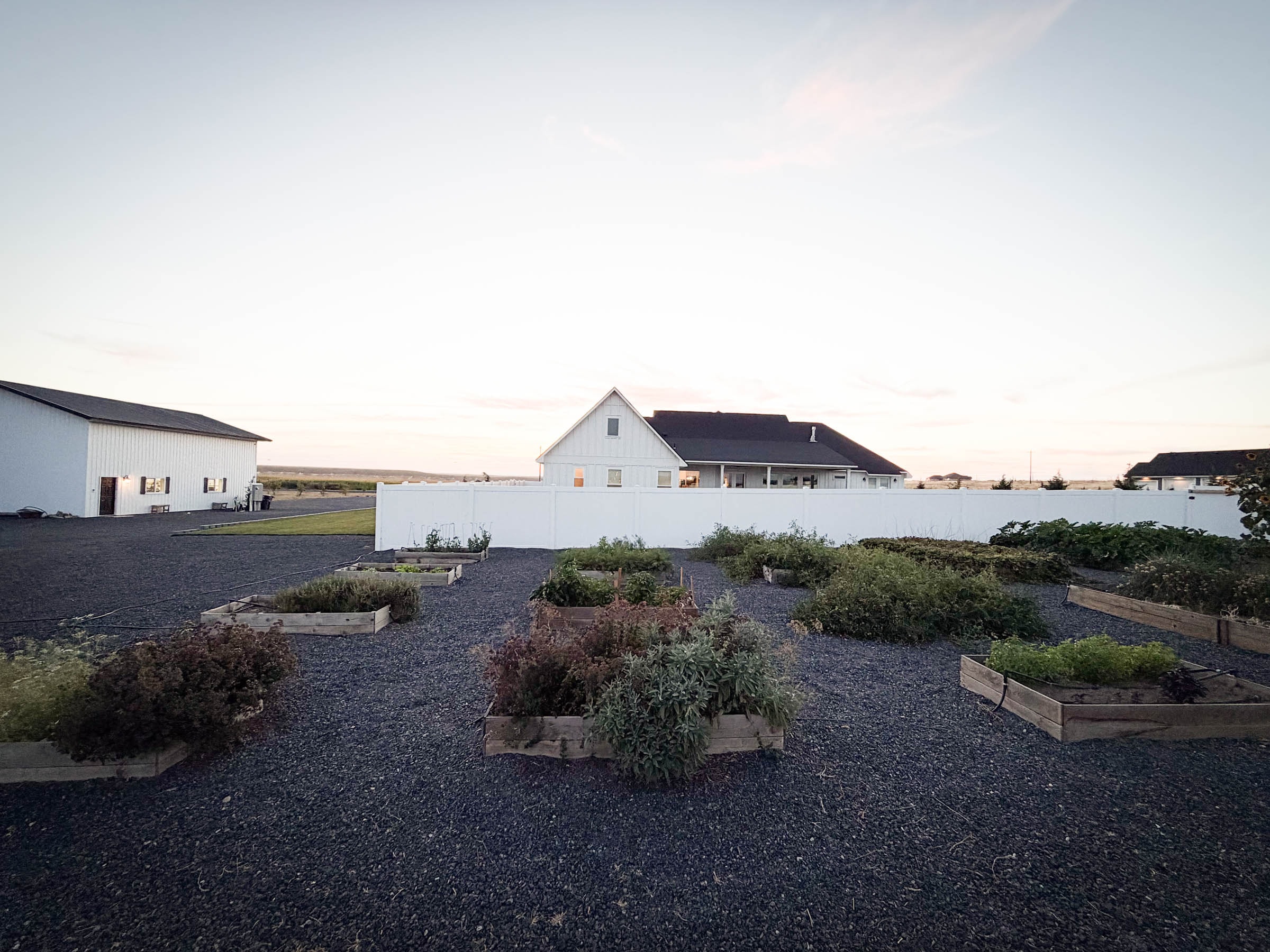 Raised garden beds with home and RV shop in background at dusk