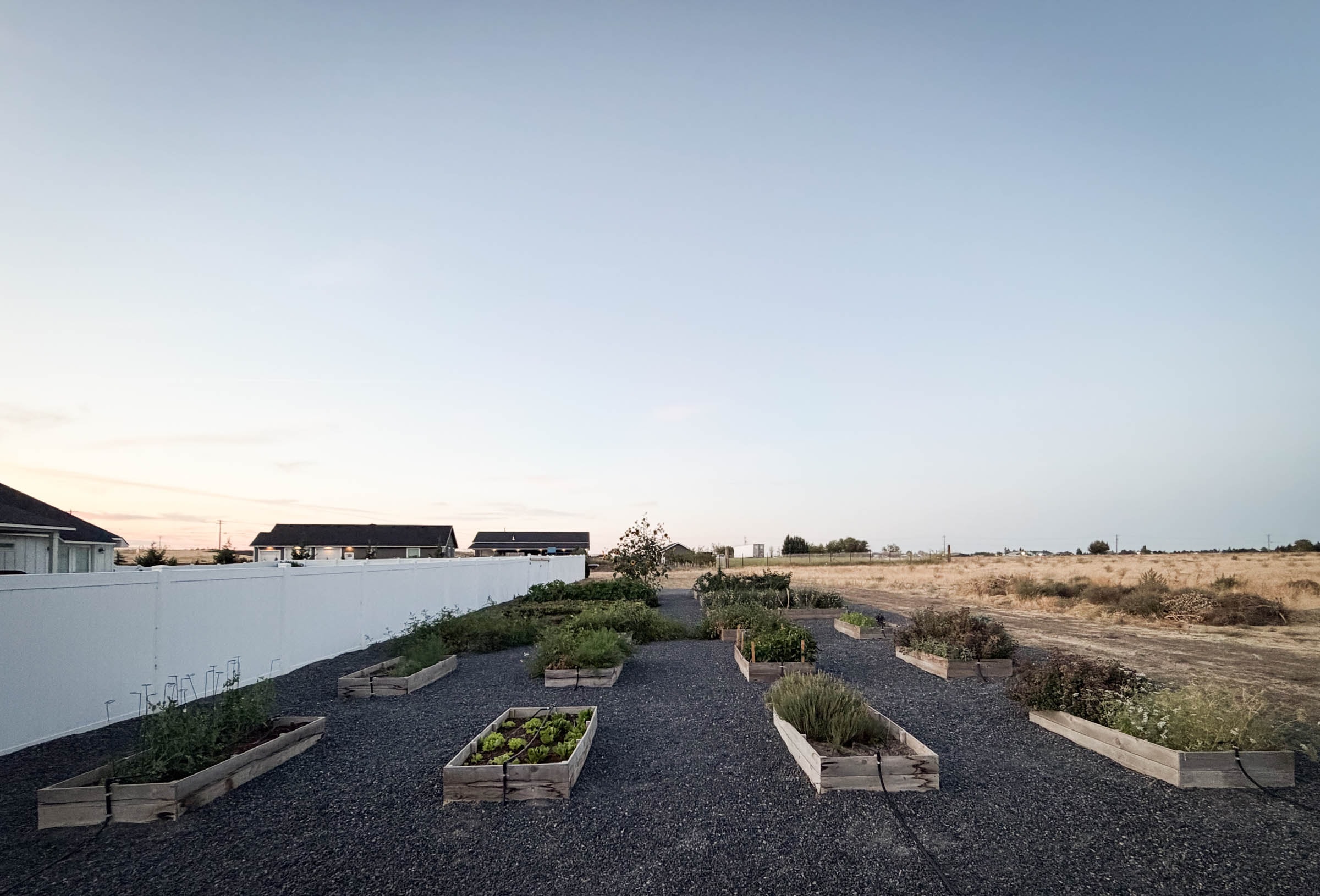 Raised garden beds along white vinyl fence with open acreage beyond
